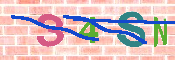キャプチャ画像