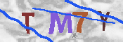 キャプチャ画像