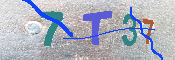 キャプチャ画像
