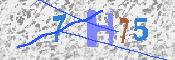キャプチャ画像