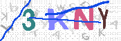 キャプチャ画像