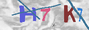 キャプチャ画像