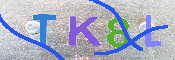 キャプチャ画像