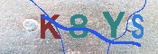 キャプチャ画像