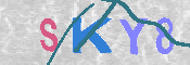 キャプチャ画像