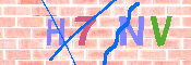 キャプチャ画像
