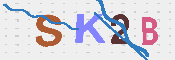 キャプチャ画像