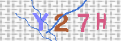 キャプチャ画像