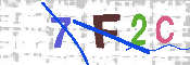 キャプチャ画像