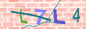 キャプチャ画像