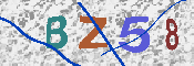 キャプチャ画像