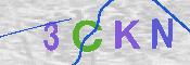 キャプチャ画像