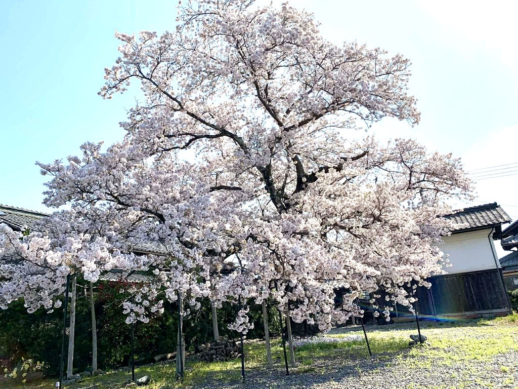 13  c7dc2ebd-e126-4692-b536-3f48622482dc