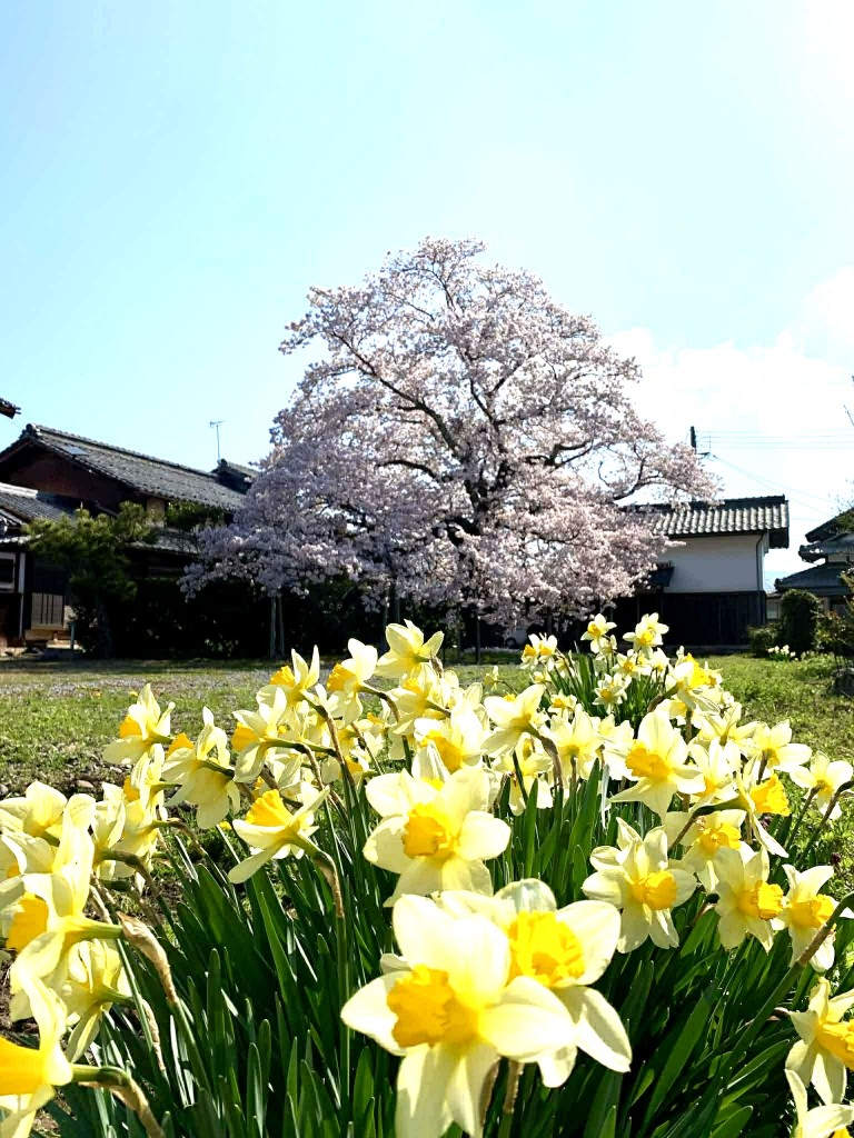 14  6755a821-406c-4ec9-864d-b1d948eef977