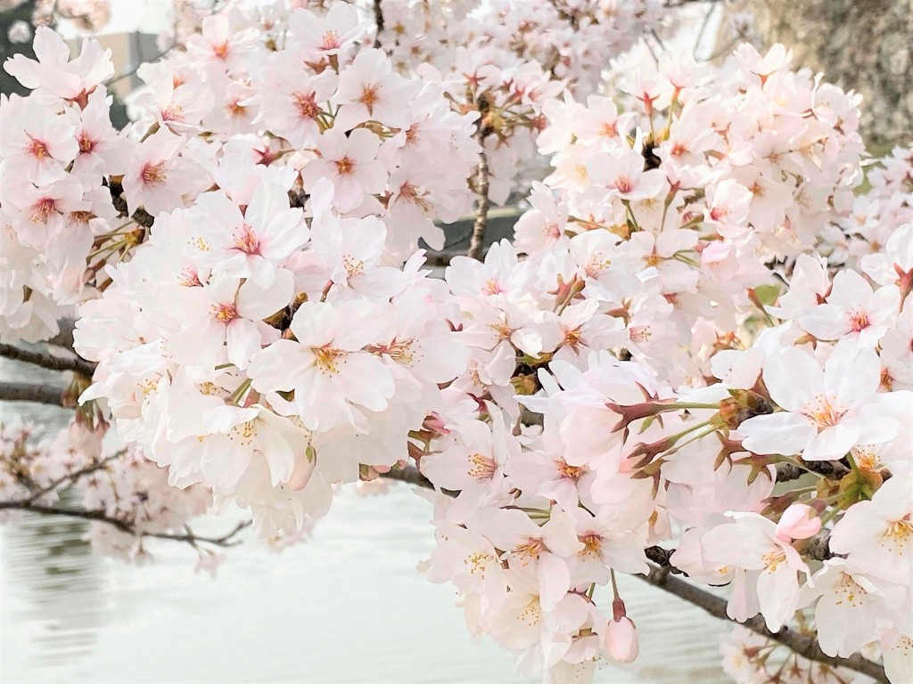 667812571_26975777825371623_9189725931555792149_n